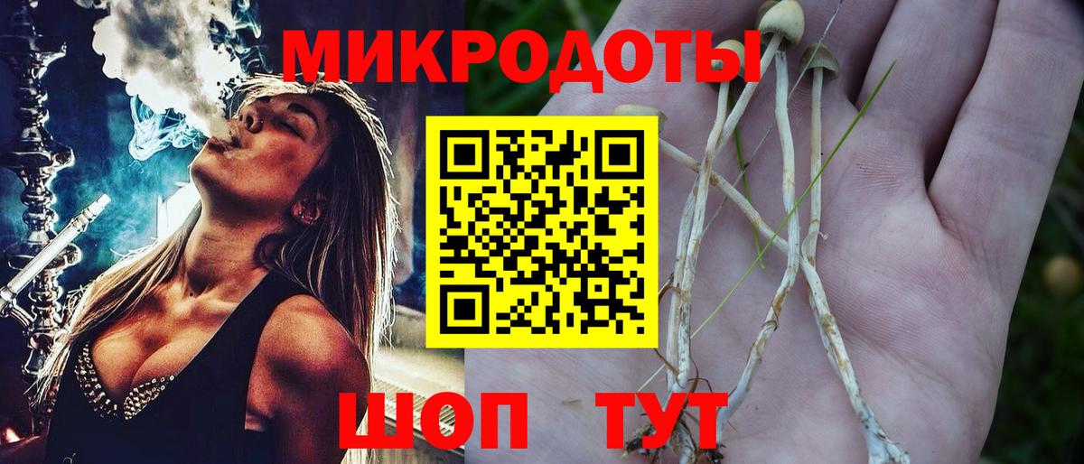 Галлюциногенные грибы мицелий  Галлюциногенные грибы Psilocybine cubensis  Новошахтинск  Вход с VPN 