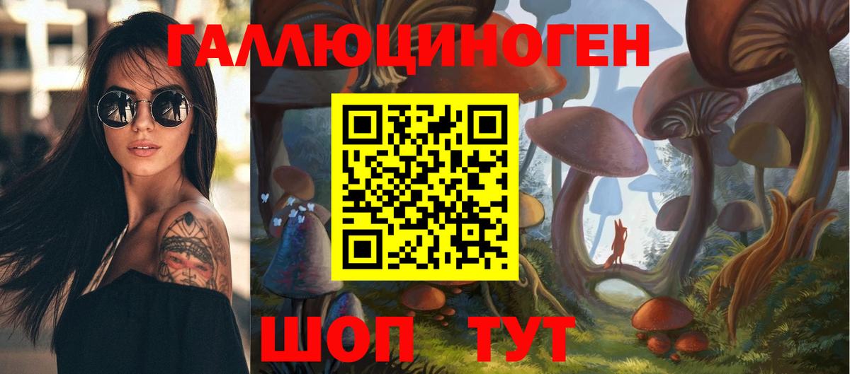 Псилоцибиновые грибы Cubensis Новошахтинск